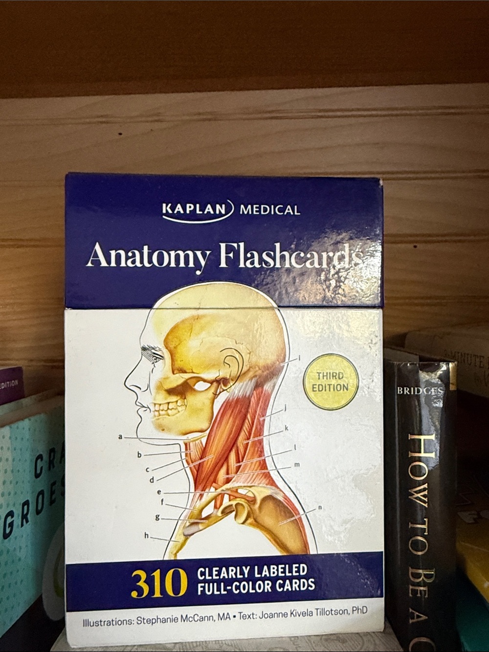 Kaplan Anatomy Flashcards - Blue/White